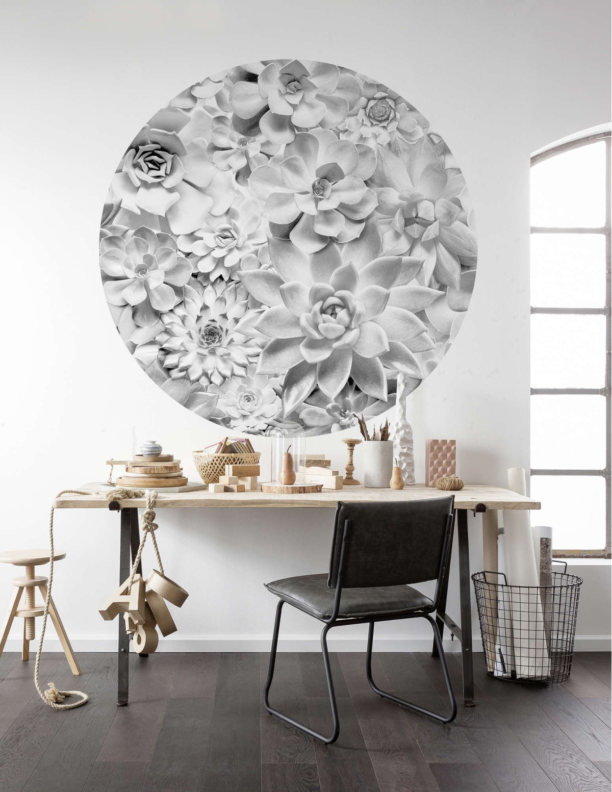 Komar Home Imagine Edition 4 Echeveria D1-046