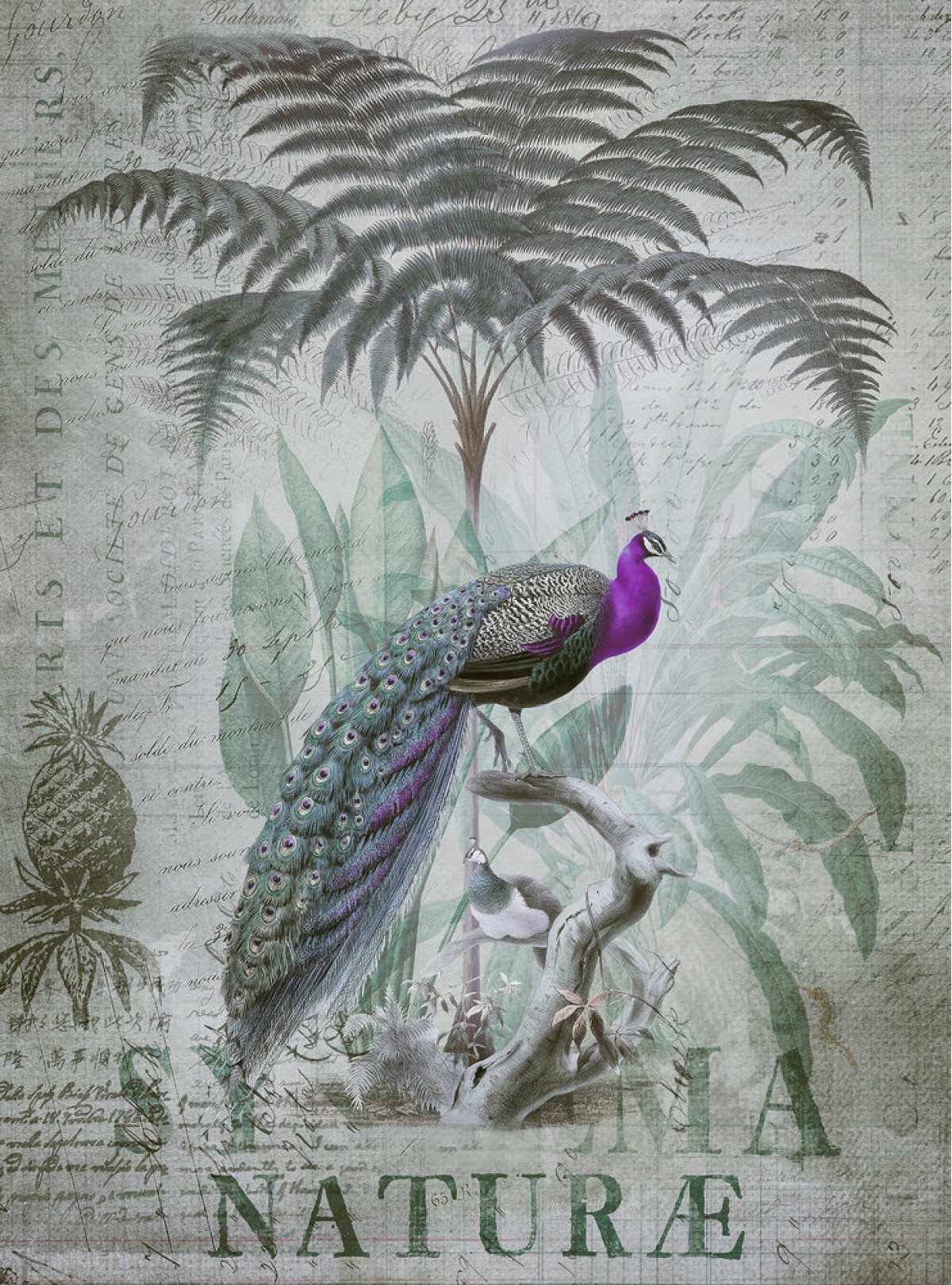 Dekens ARTist DD119709