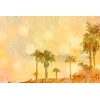 Dekens ARTist DD119753