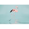 Dekens ARTist DD119777