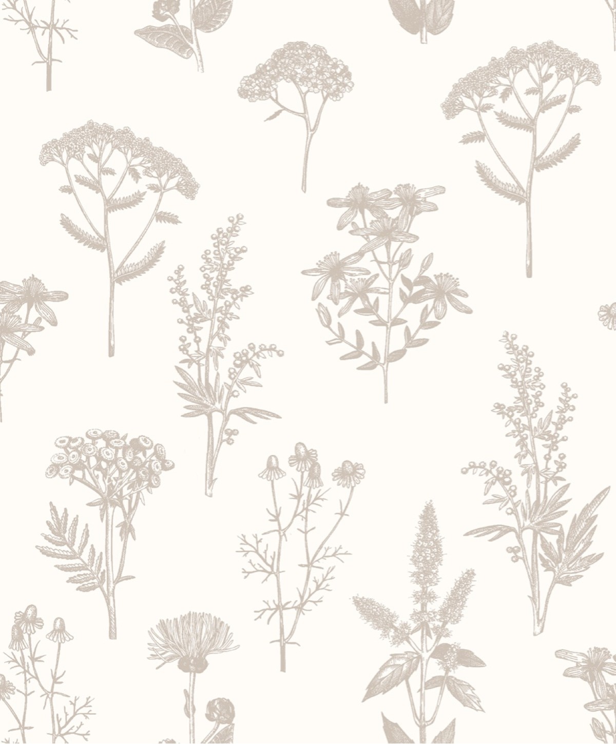 Flora M80507