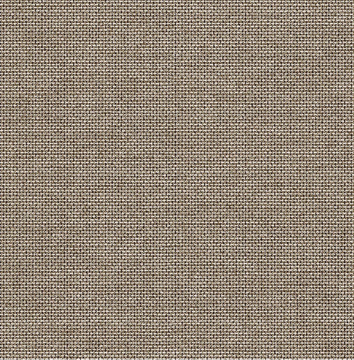 Sauvage II KT40105