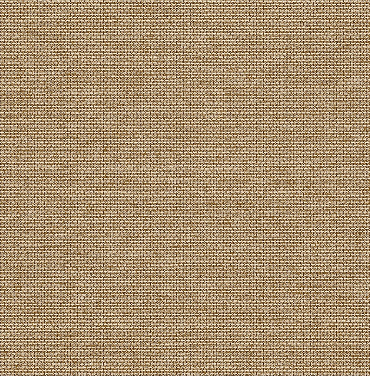 Sauvage II KT40106
