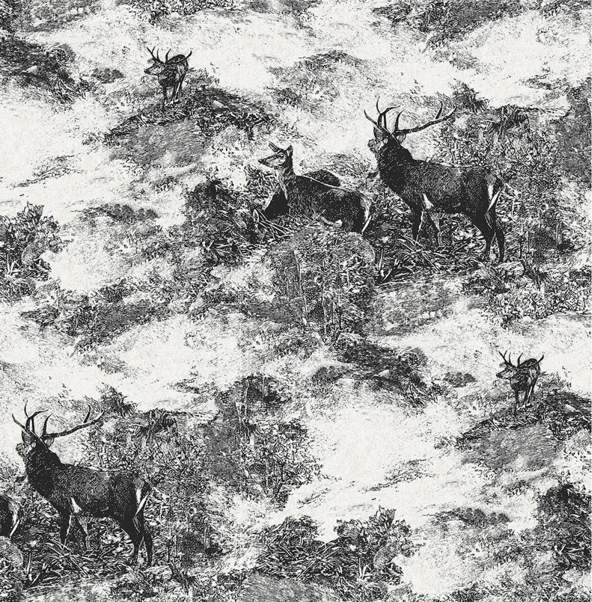 Sauvage II KT40600