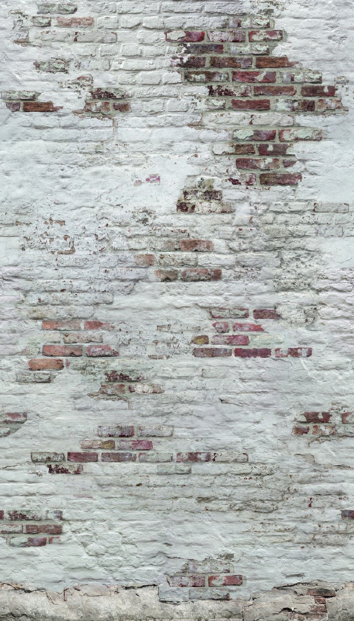 One Roll One Motif  EP6101 Bricks