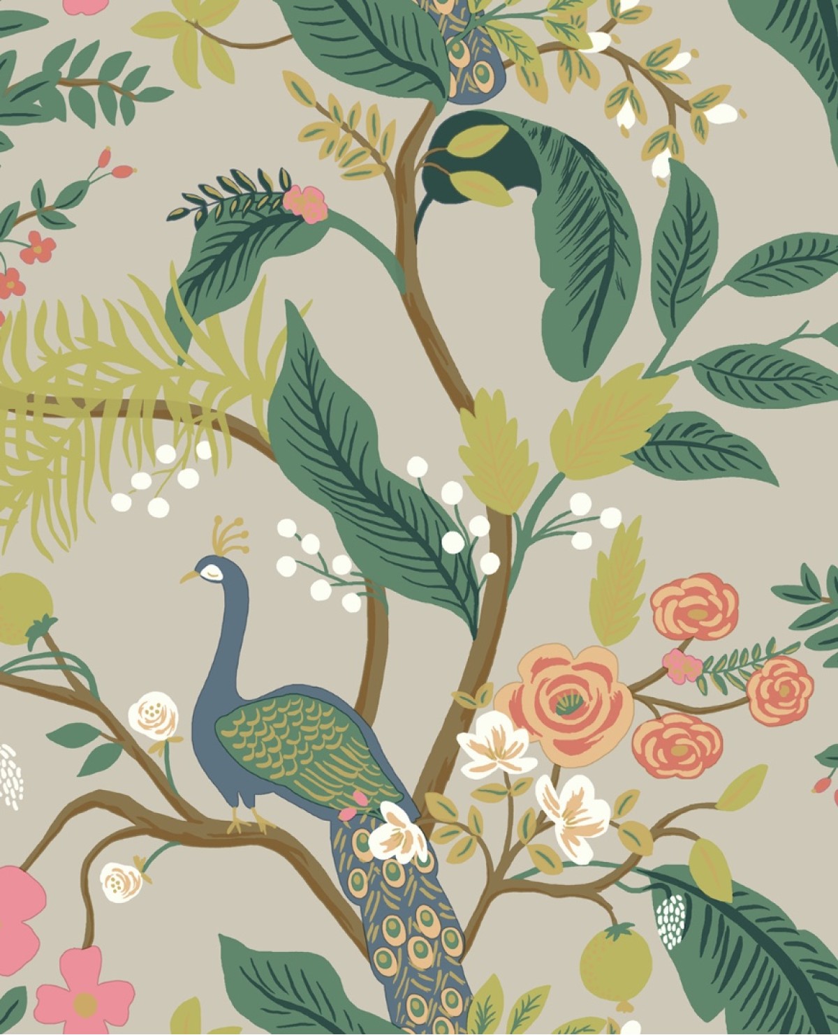 Rifle Paper Co. RI5171