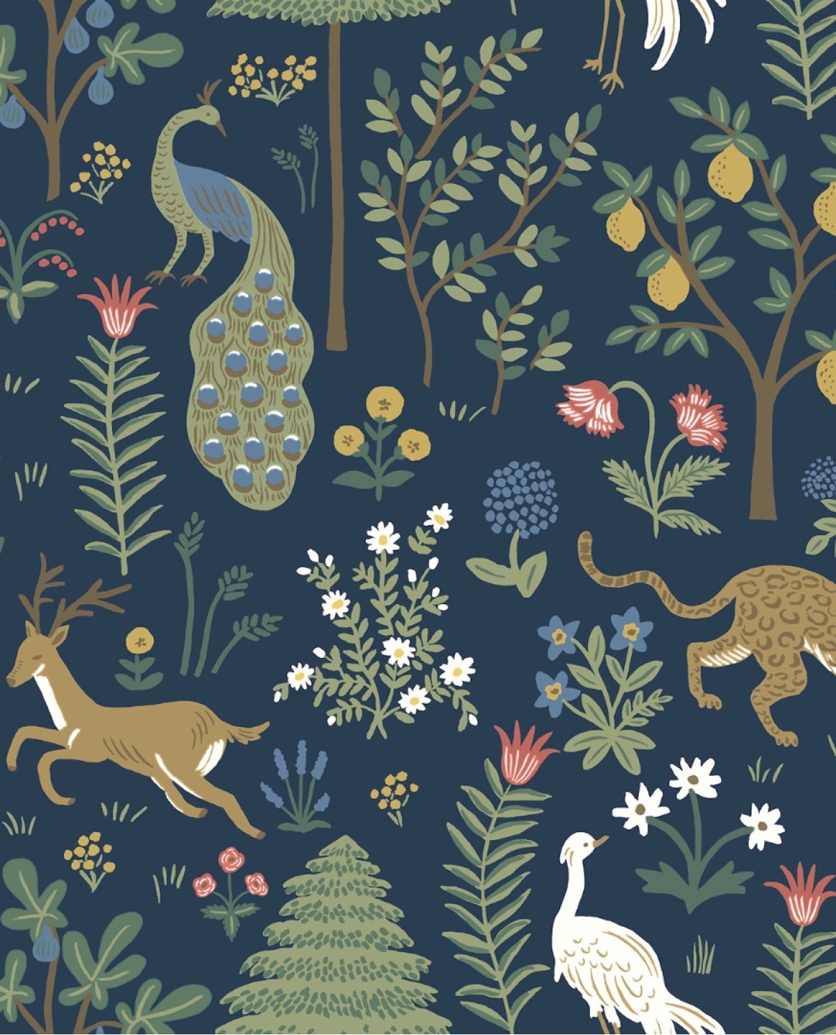 Rifle Paper Co. RP7304