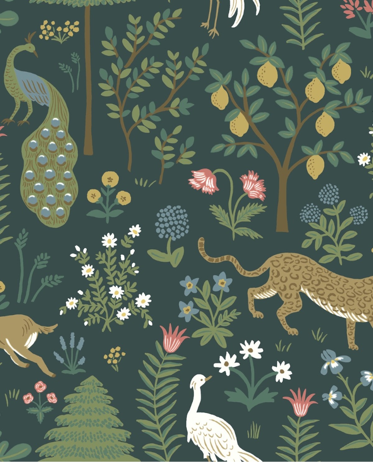 Rifle Paper Co. RP7306