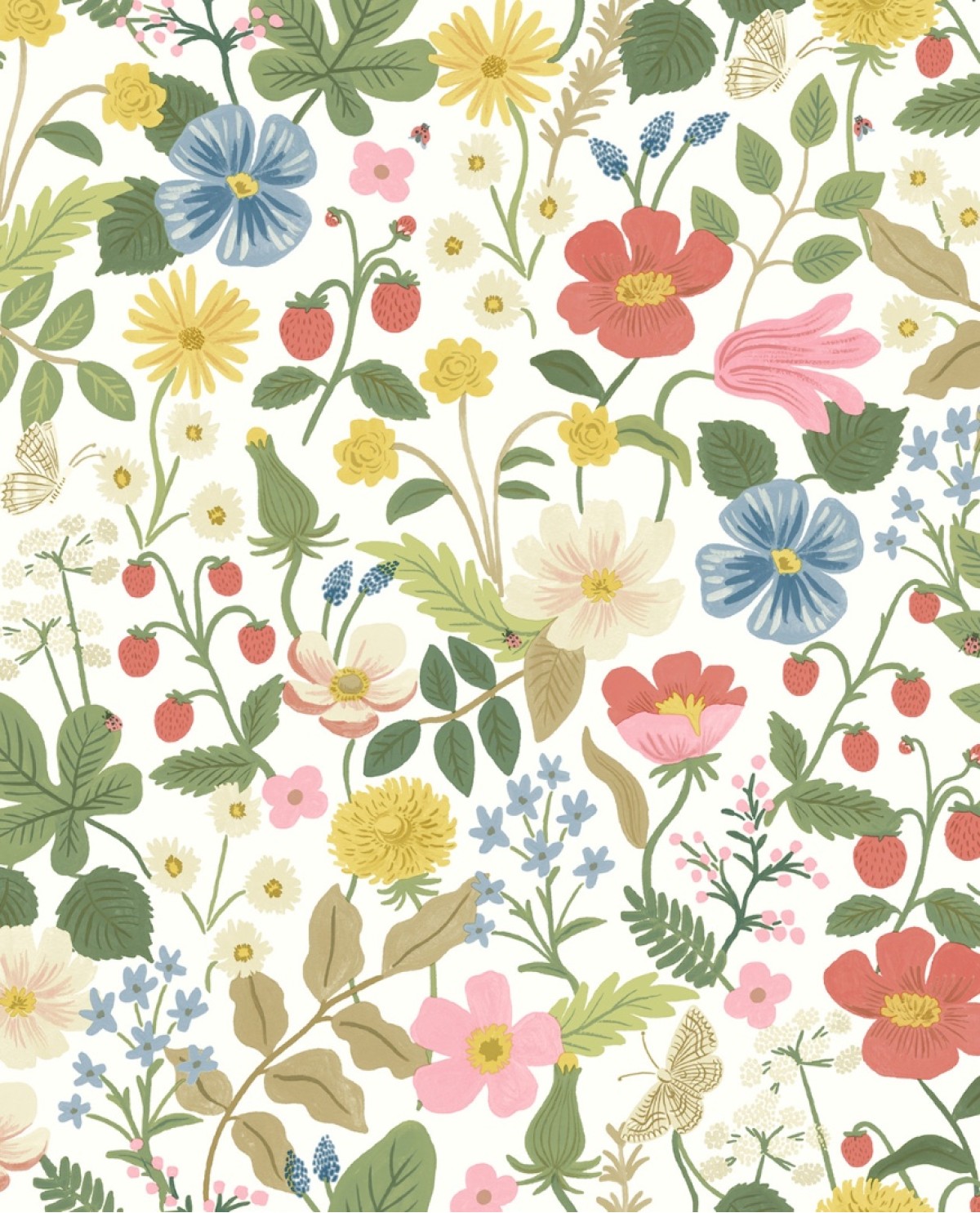 Rifle Paper Co. RP7354