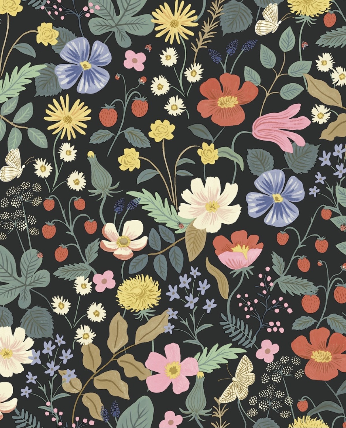 Rifle Paper Co. RP7355