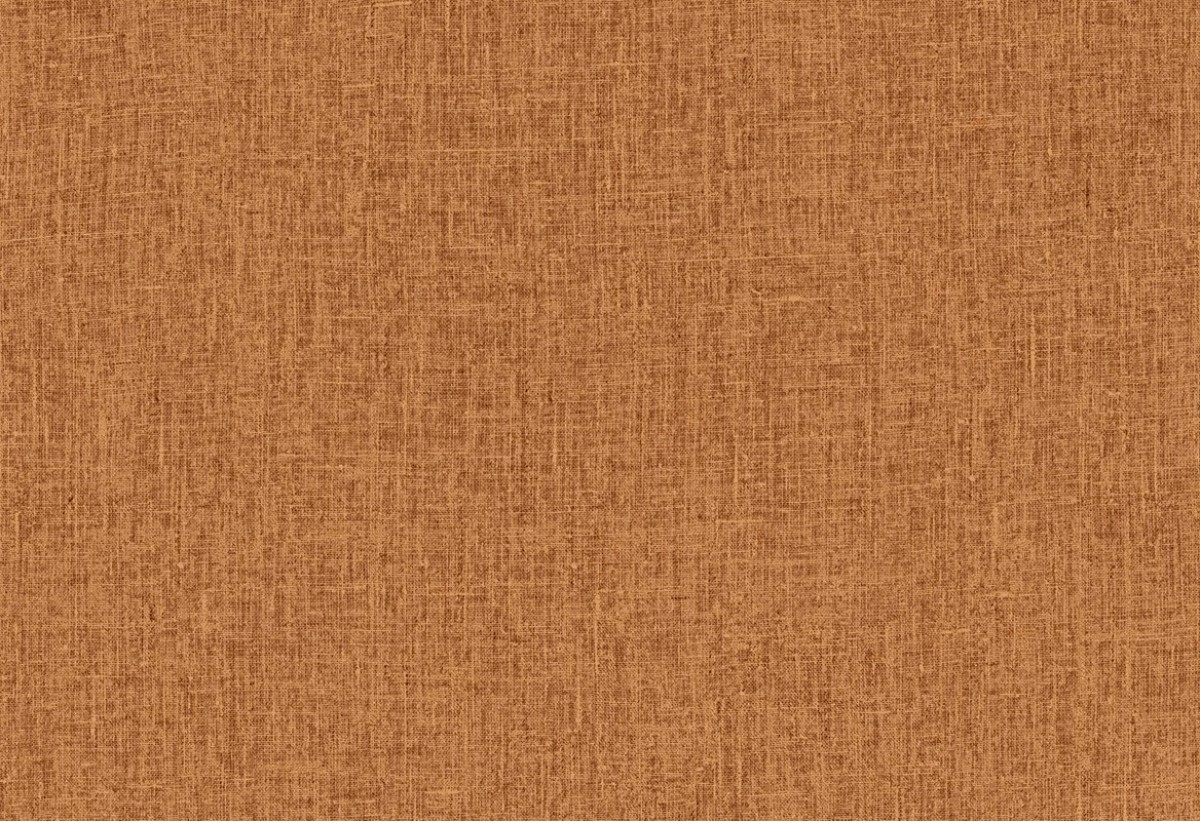 Cabane 20908