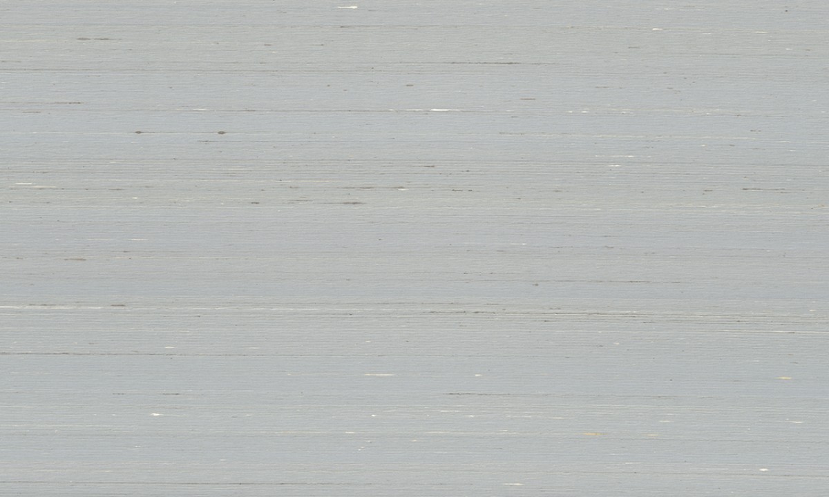 Kami Dupion 87201