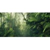 Pure2 PSH098-VD5 Tropenwelten