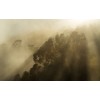 Pure2 PSH113-VD4 Foggy Sunshine
