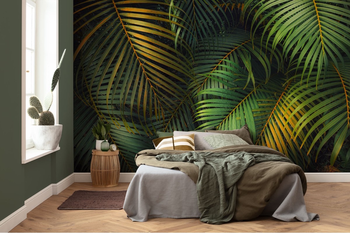 Pure2 PSH109-VD4 Amazon Fern