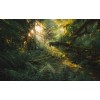 Pure2 PSH103-VD4 Hall Of Mosses