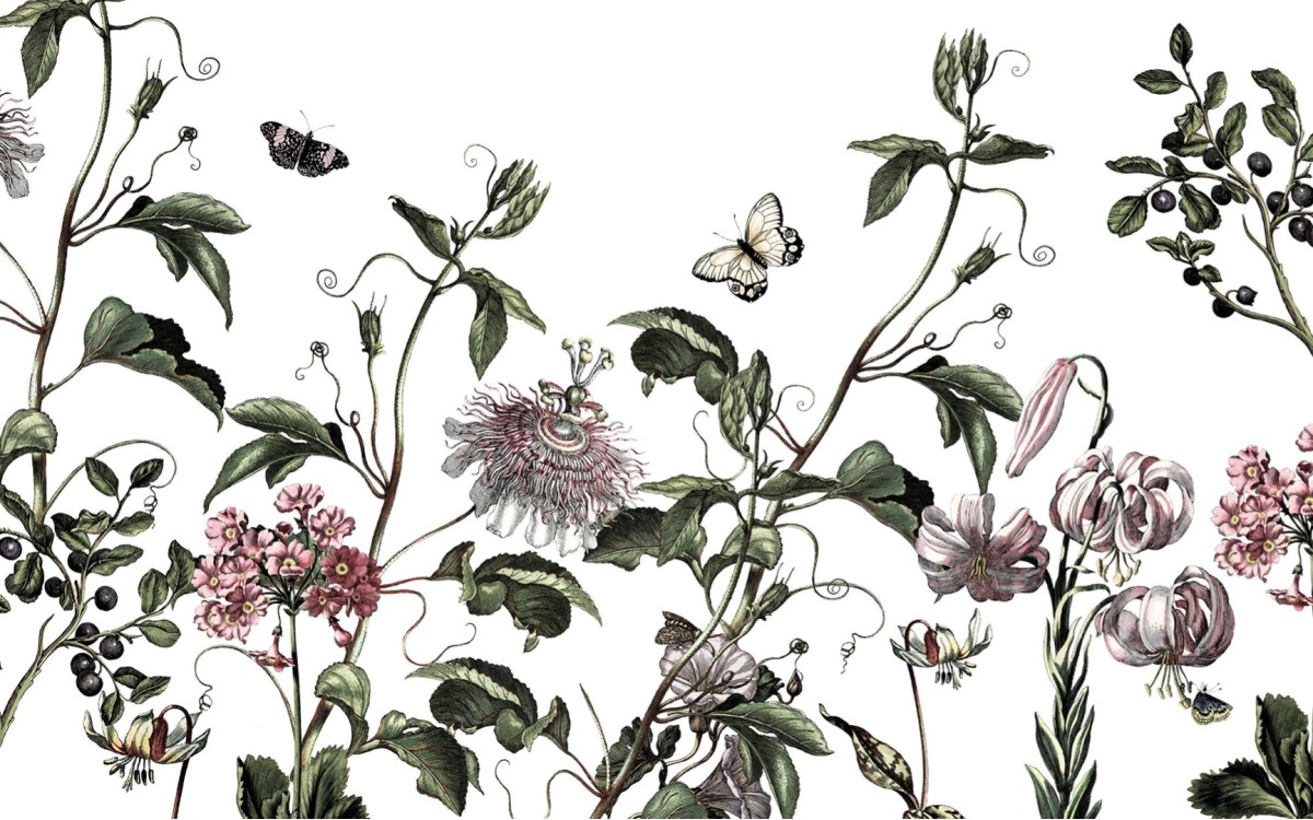 Pure2 P266-VD4 Paradis de Papillons