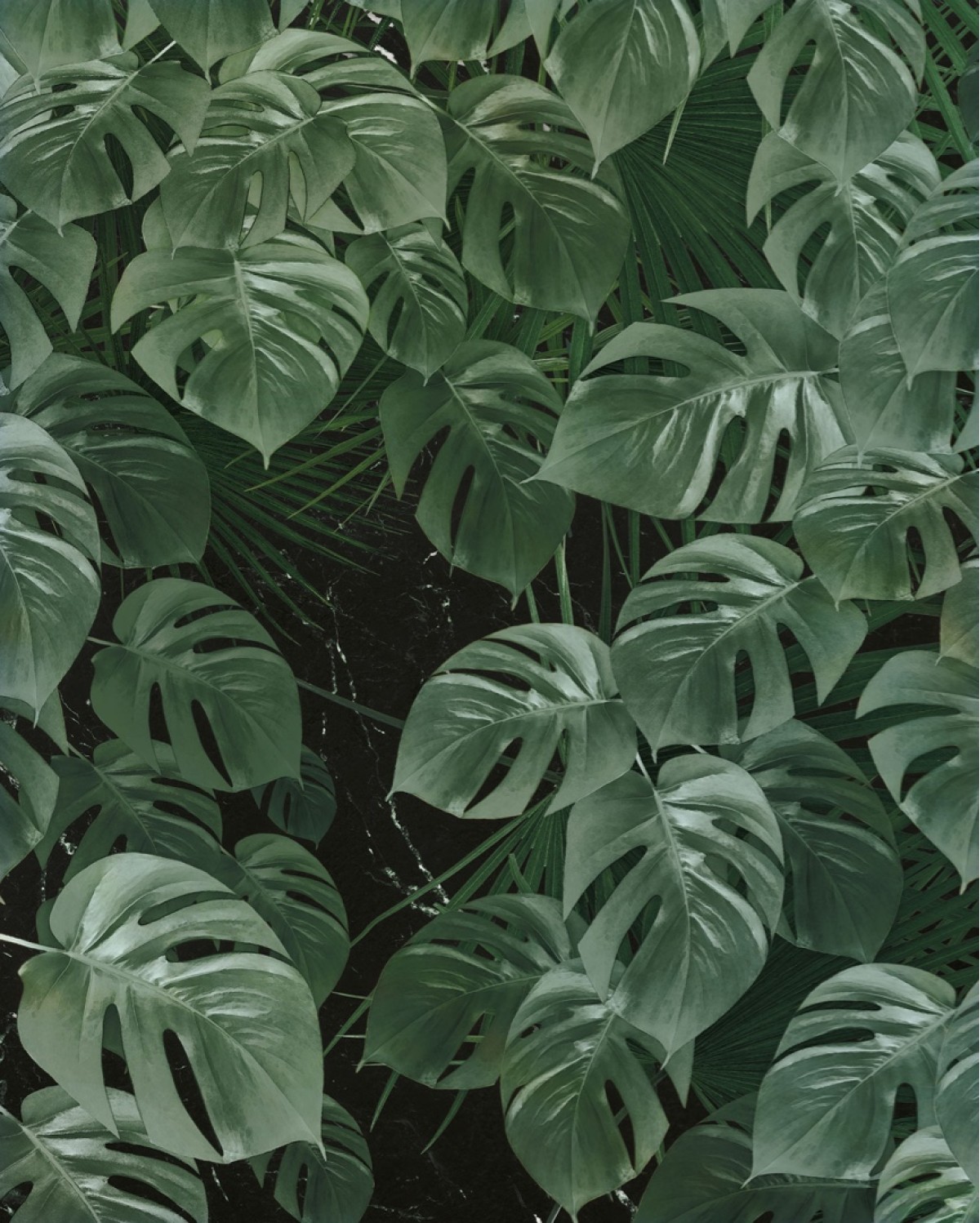 Pure2 P035-VD2 Monstera On Marble
