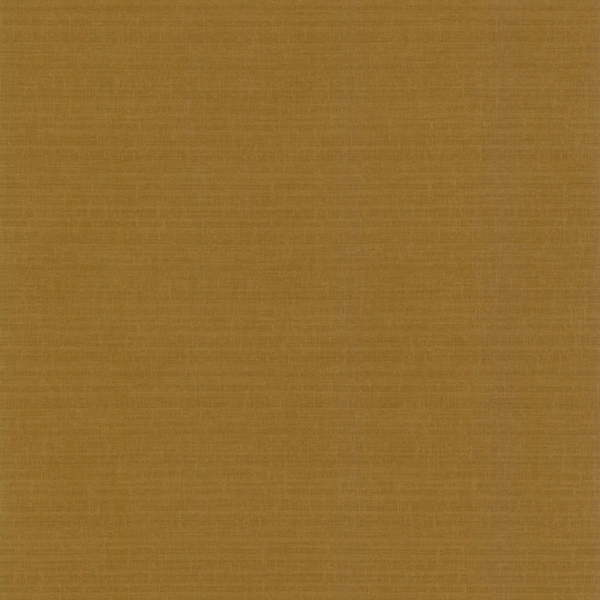 Abaca 51233108