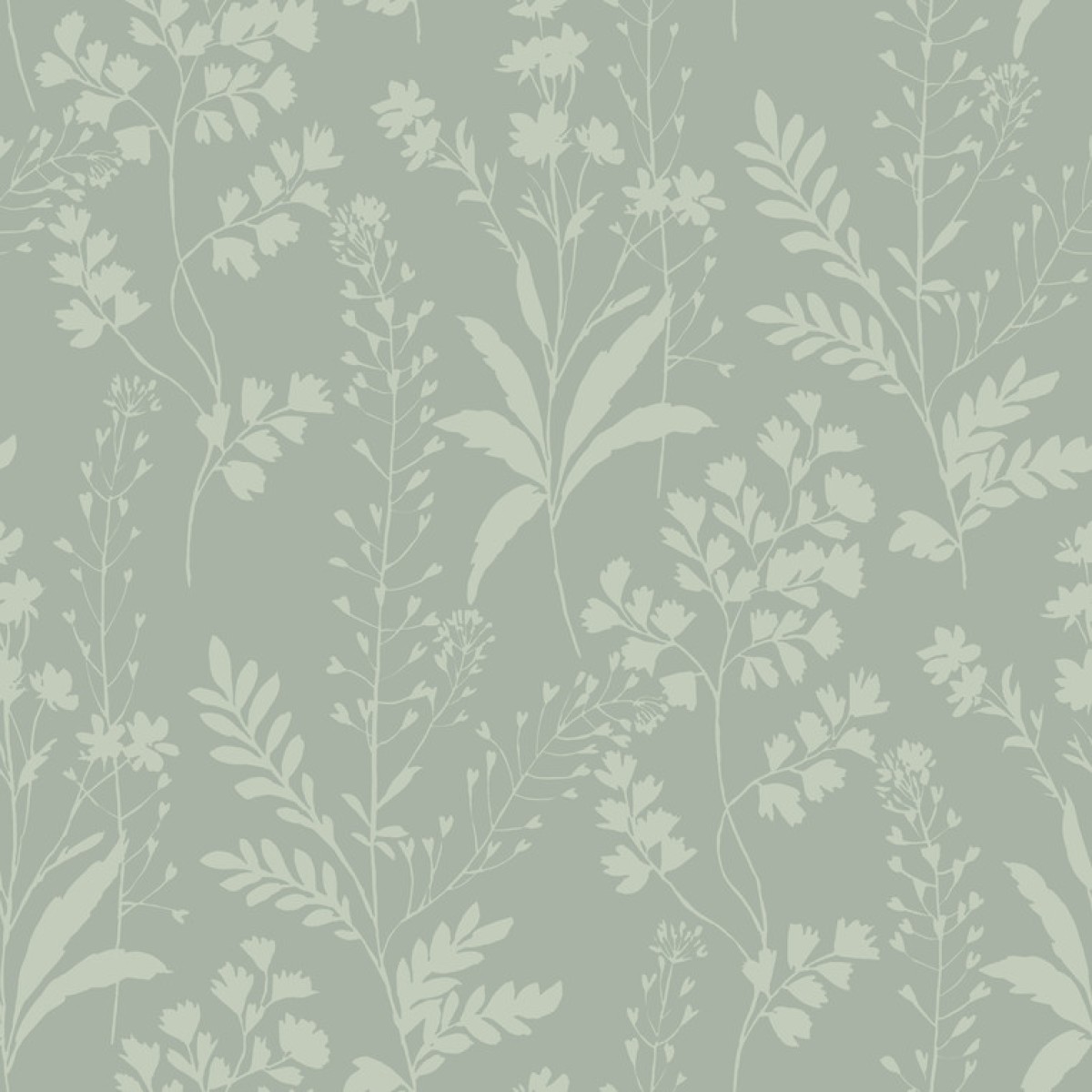 Botanique M52814