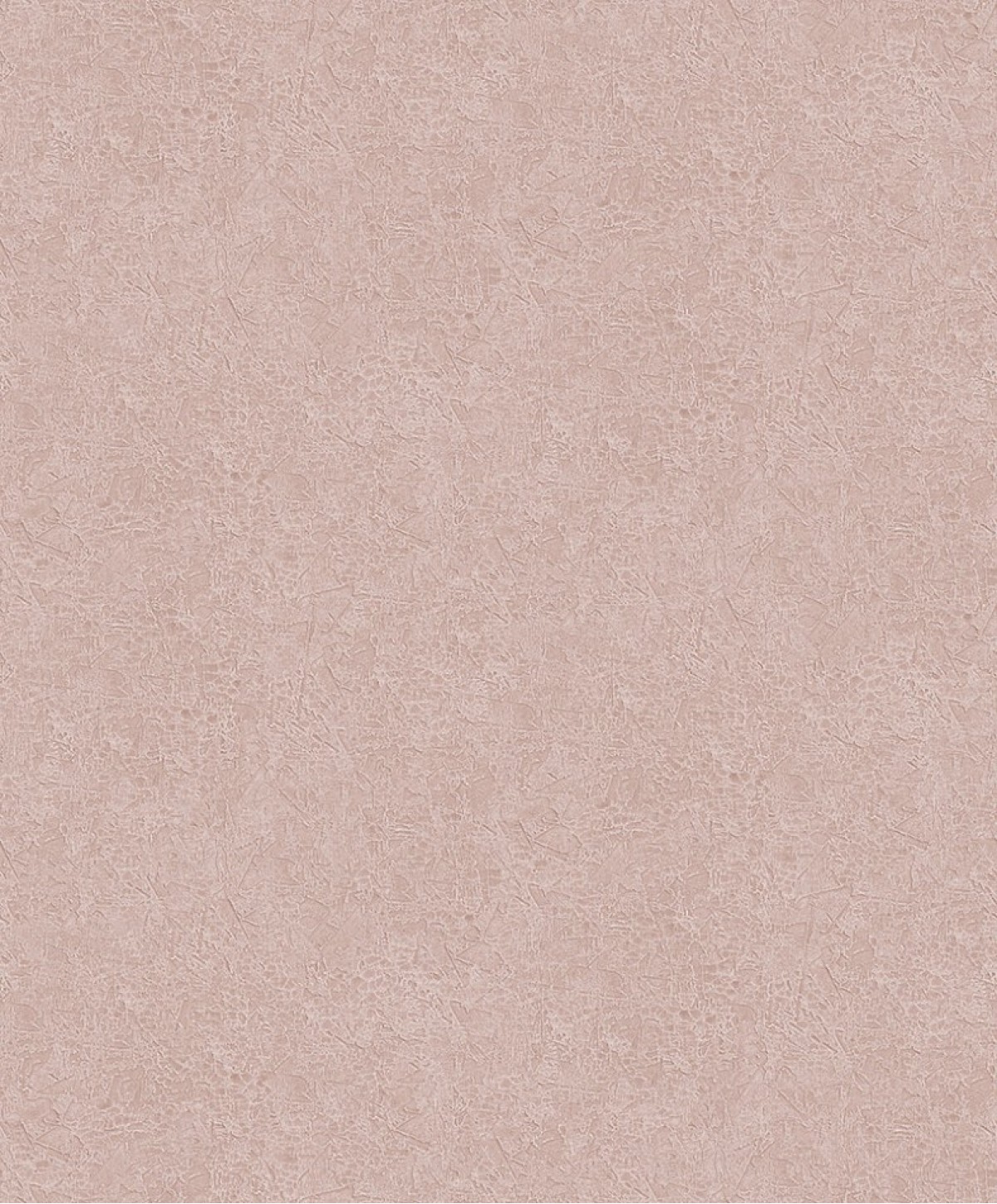 The Colour Book HAV1002