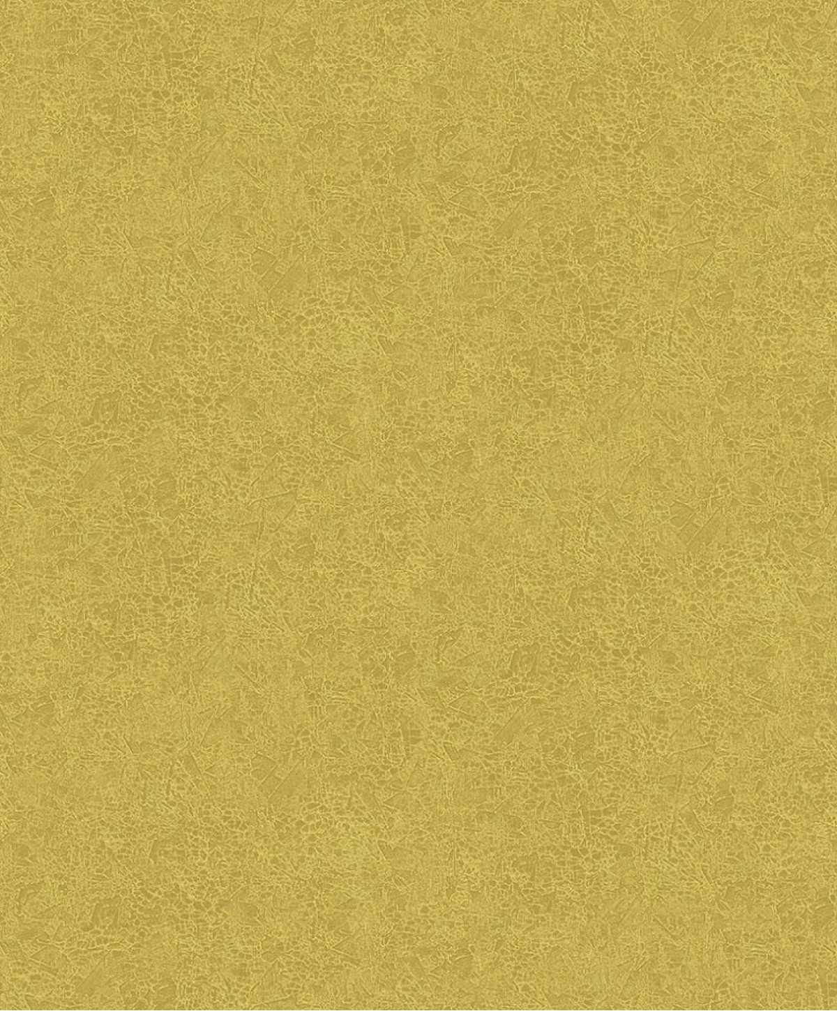 The Colour Book HAC1003