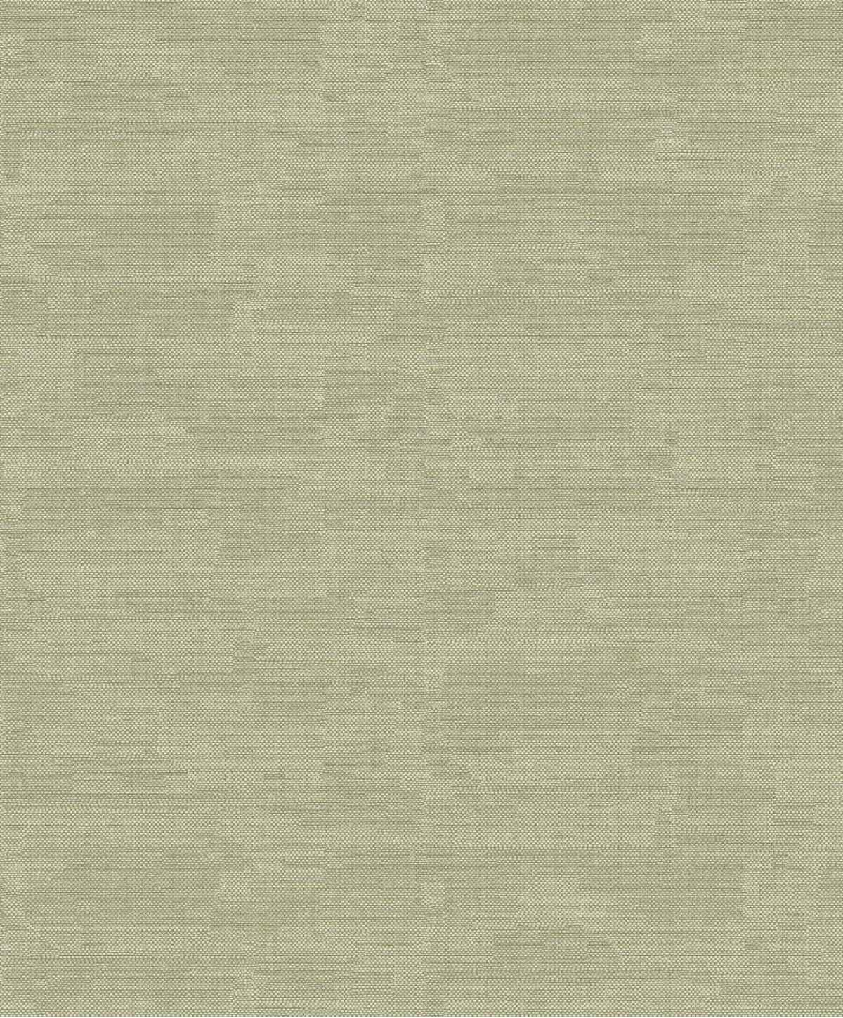 The Colour Book OMB005