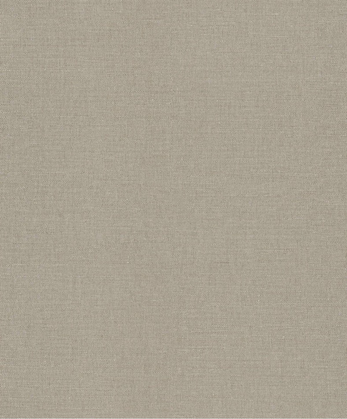 The Colour Book RTS509