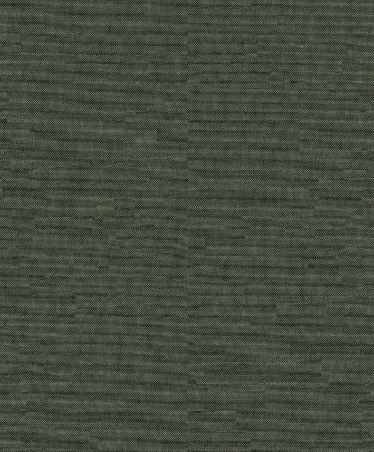 The Colour Book RTS511
