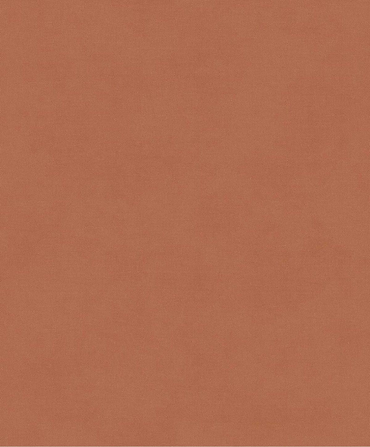 The Colour Book RYT004