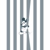 Komar Into Wonderland 060-DVD2 "Mickey Offbeat"