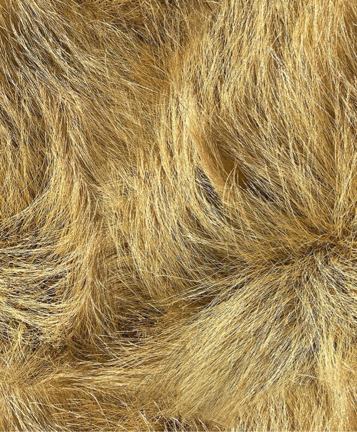Textura 1545769