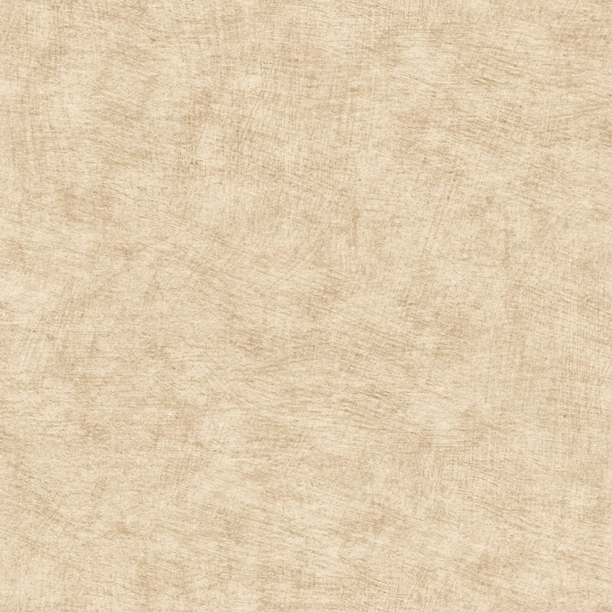 Herbarium HE27204