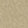 Herbarium HE27207