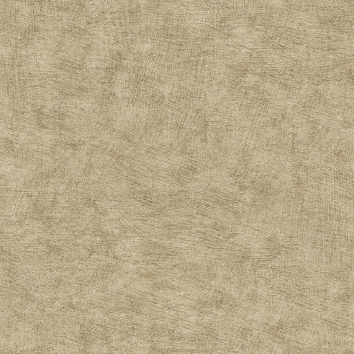 Herbarium HE27207
