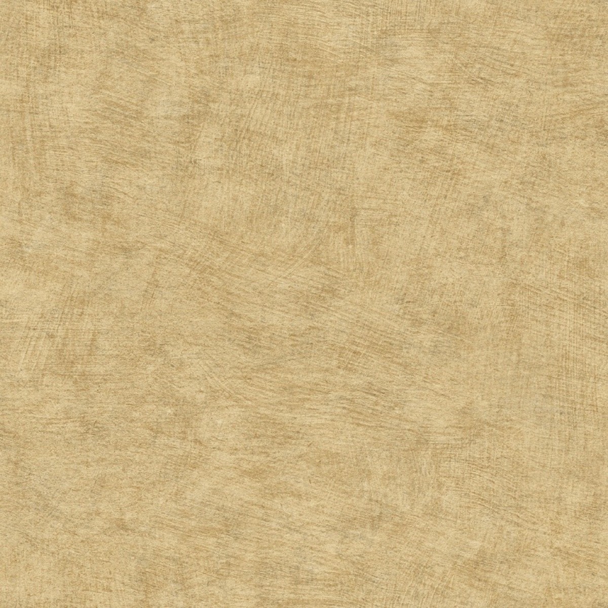 Herbarium HE27208