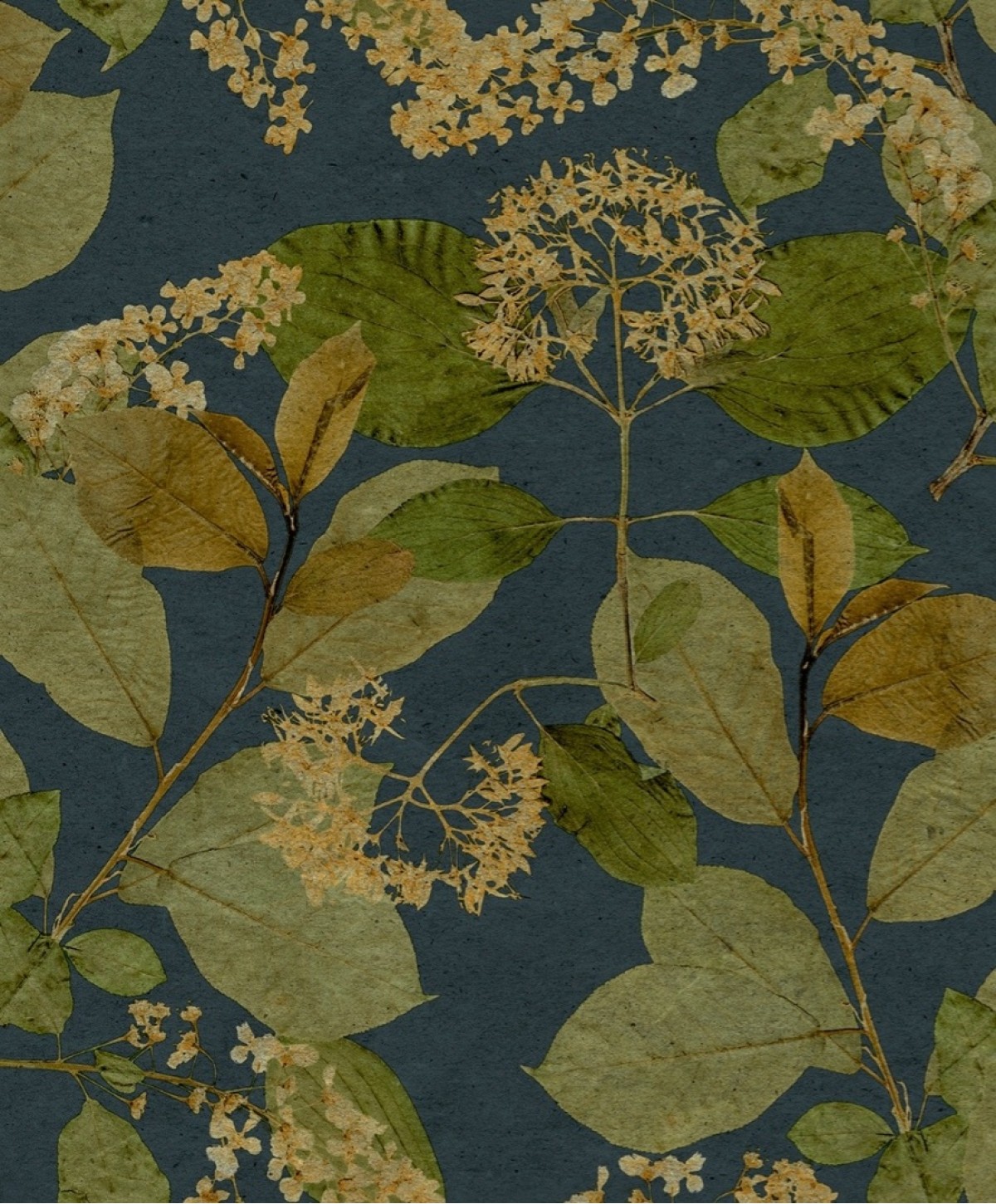 Herbarium HE27233