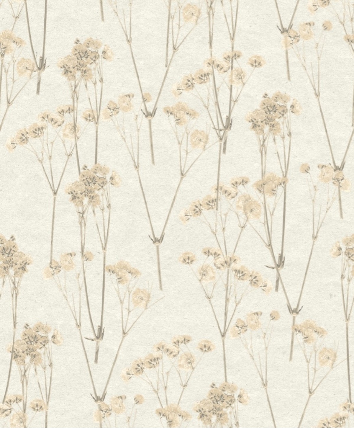 Herbarium HE27240