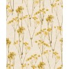 Herbarium HE27242