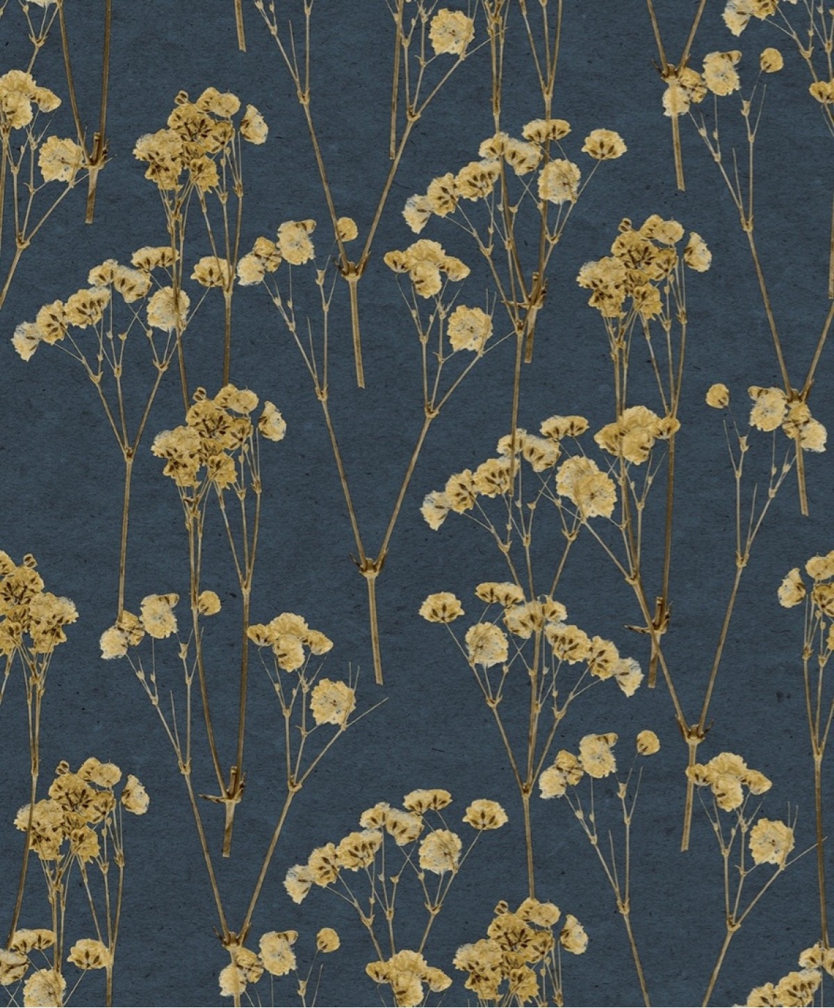 Herbarium HE27243