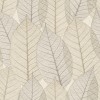 Herbarium HE27250