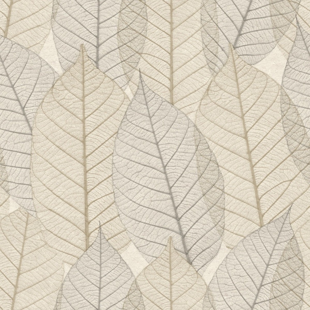 Herbarium HE27250