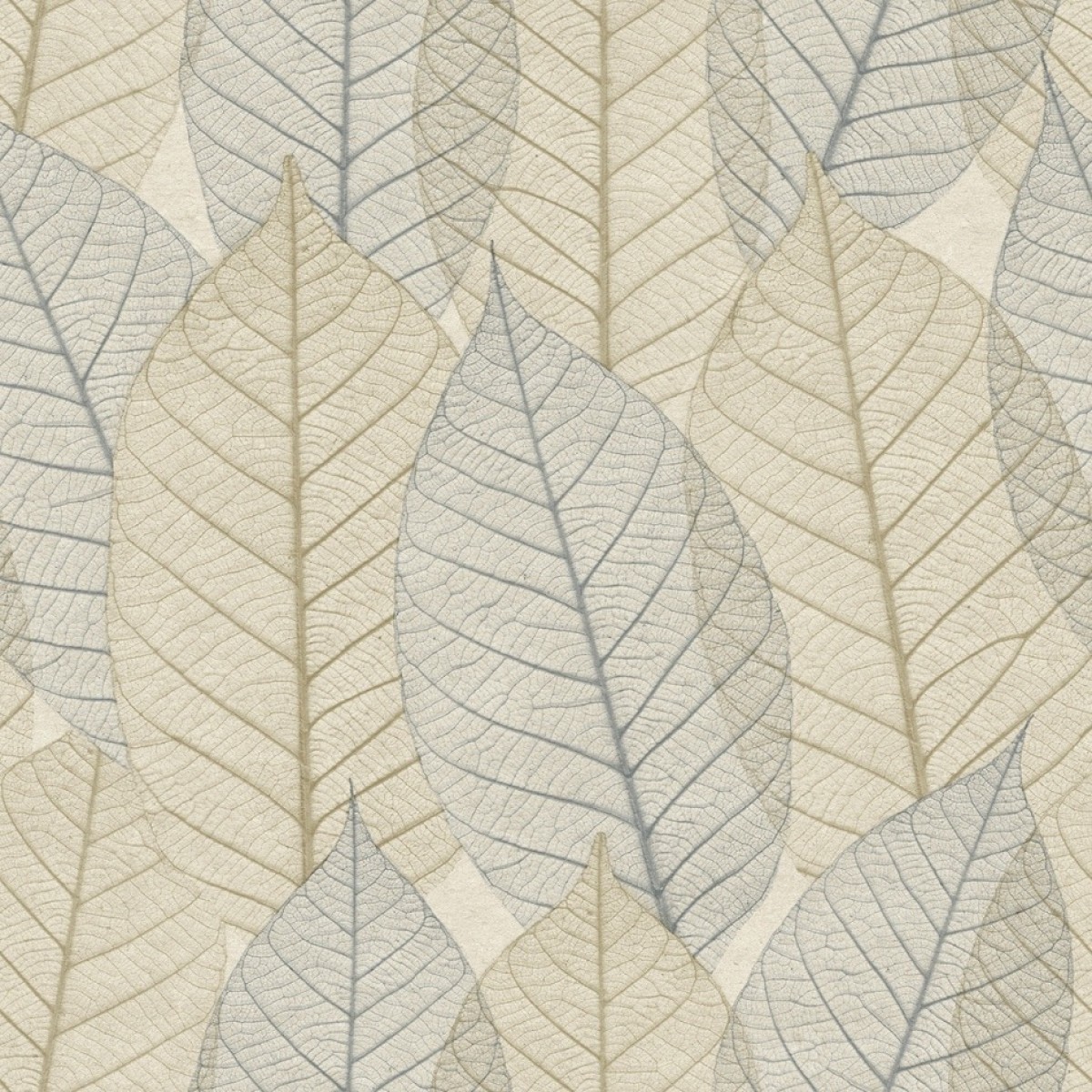 Herbarium HE27251