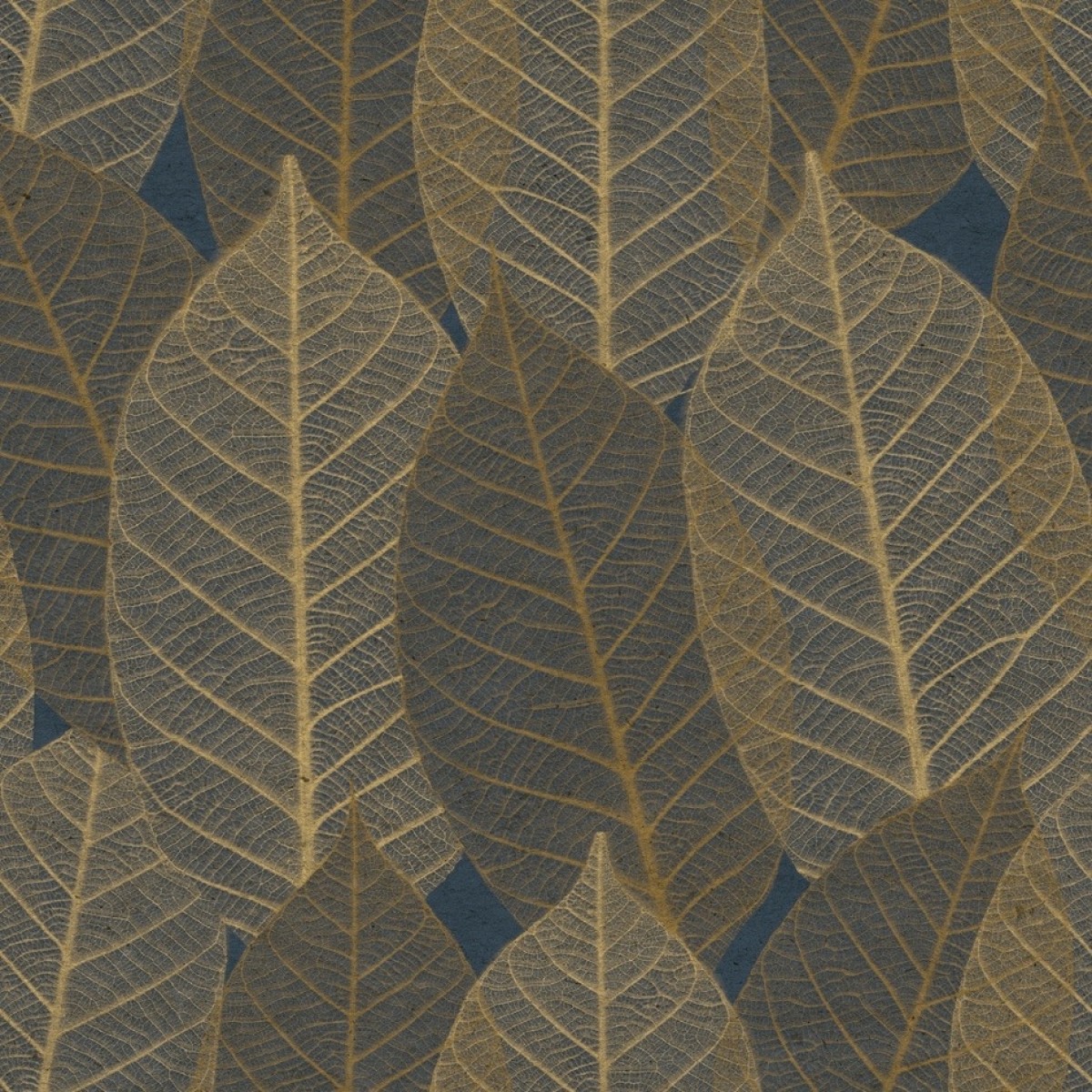 Herbarium HE27252