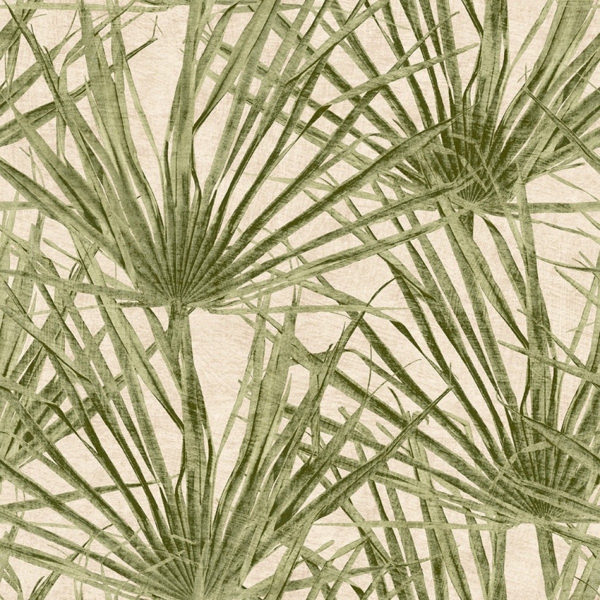 Herbarium HE27262