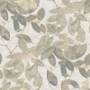 Herbarium HE27270