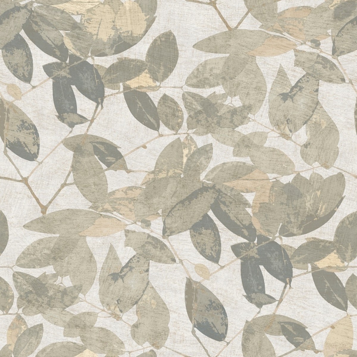Herbarium HE27270