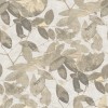 Herbarium HE27271