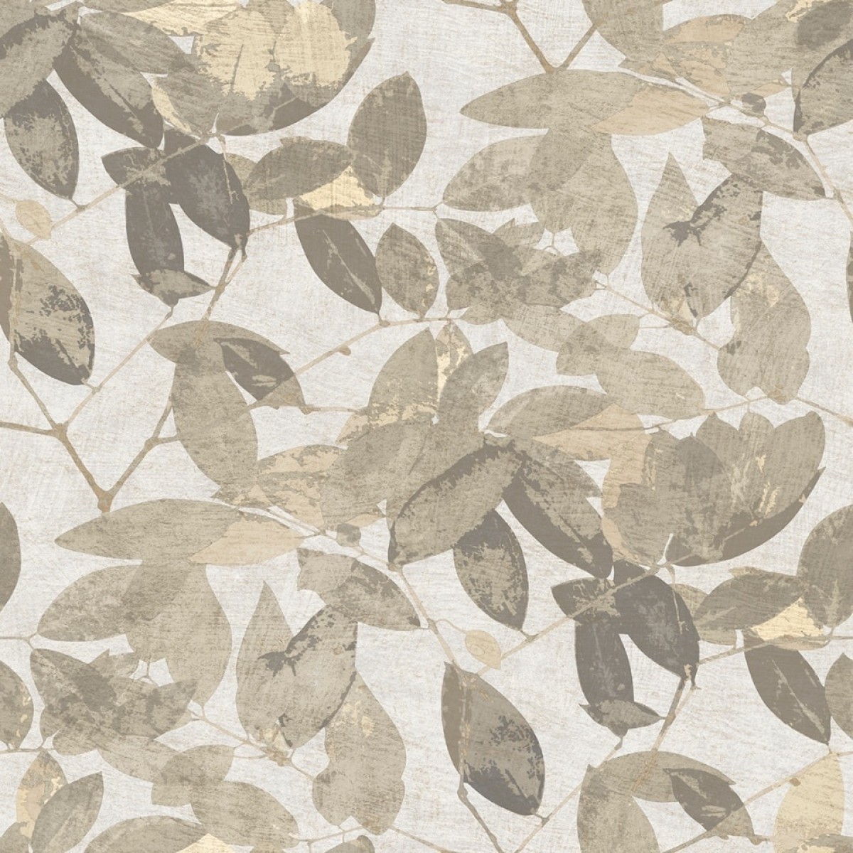 Herbarium HE27271