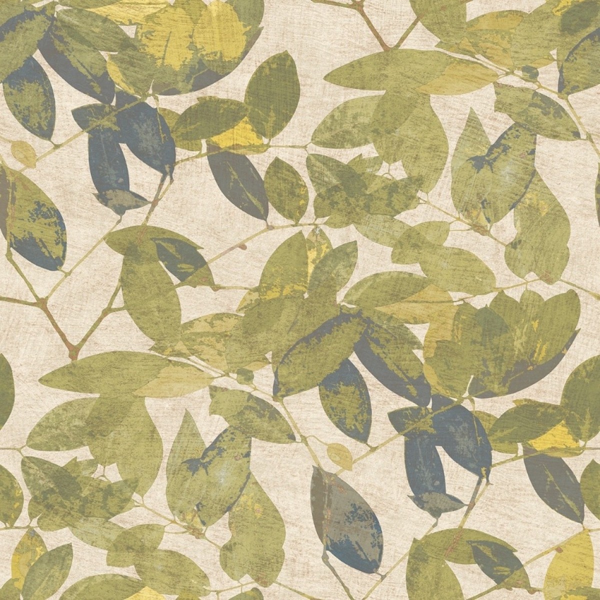 Herbarium HE27272
